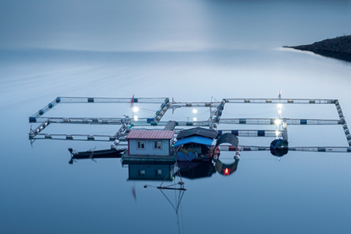 壁掛式多參數(shù)分析儀MPG-6099-水產(chǎn)養(yǎng)殖 壁掛式多參數(shù)分析儀MPG-6099-水產(chǎn)養(yǎng)殖